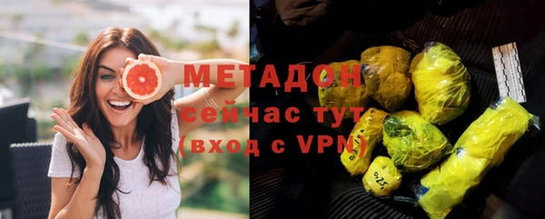 шишки Верея