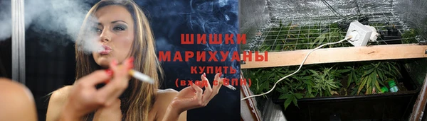 шишки Верея