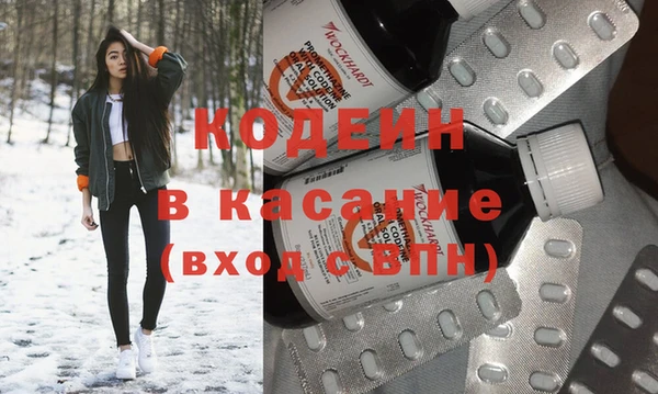 шишки Верея