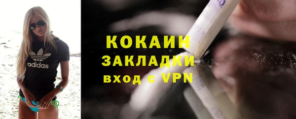 шишки Верея