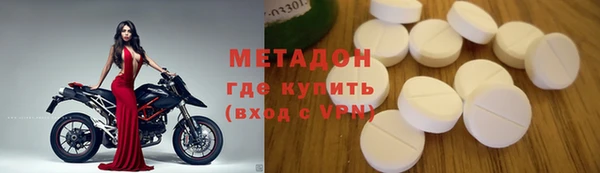шишки Верея