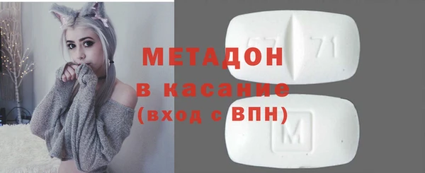 шишки Верея