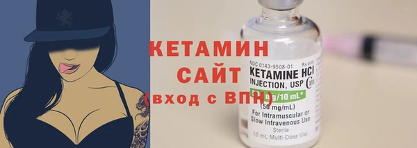 шишки Верея