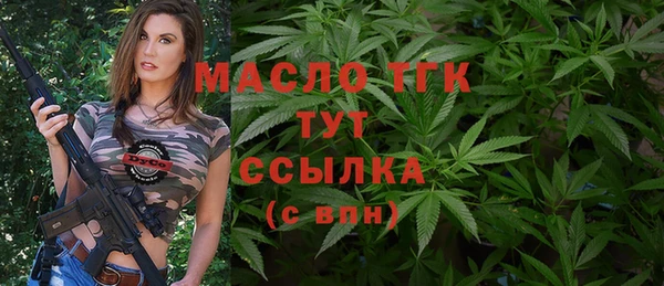 шишки Верея
