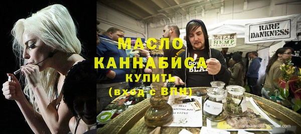 шишки Бородино
