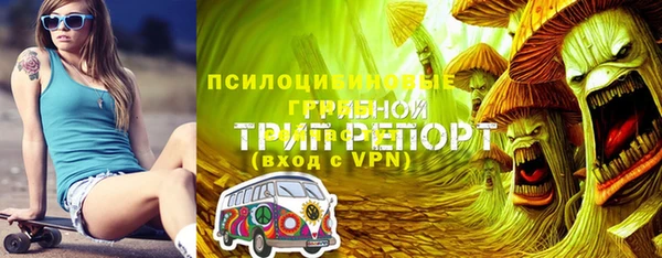 шишки Верея