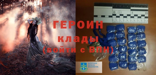 шишки Верея