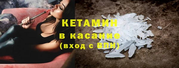 шишки Верея