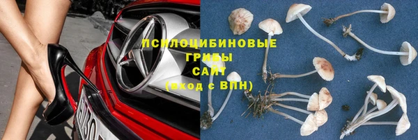 гашик Бугульма